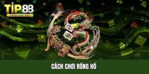 Cách chơi rồng hổ