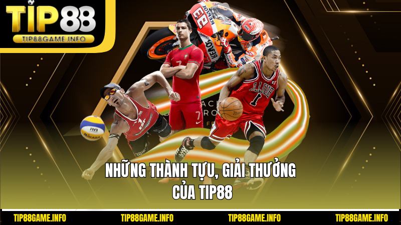 Những thành tựu, giải thưởng của TIP88